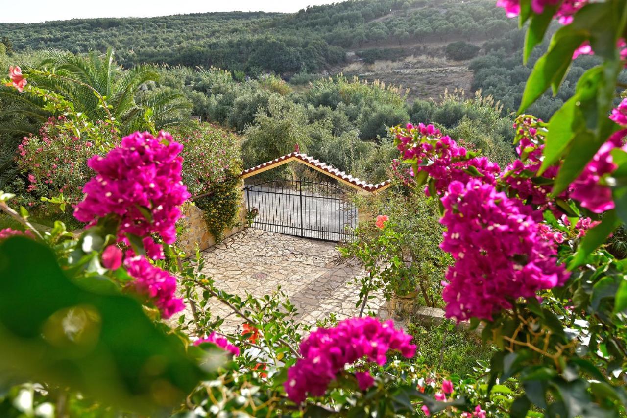 فيلا Olive Farm Agia Marina المظهر الخارجي الصورة