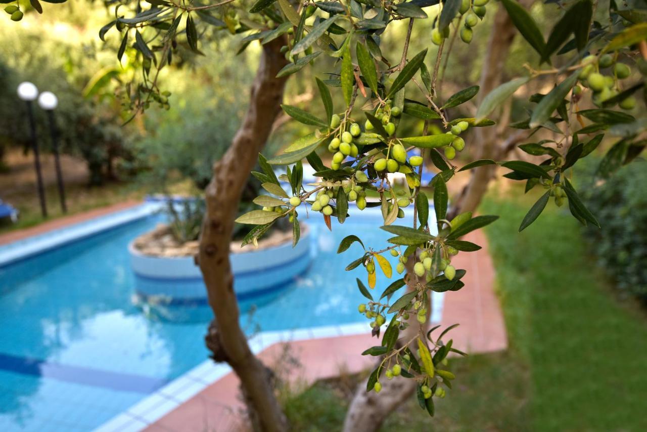 فيلا Olive Farm Agia Marina المظهر الخارجي الصورة