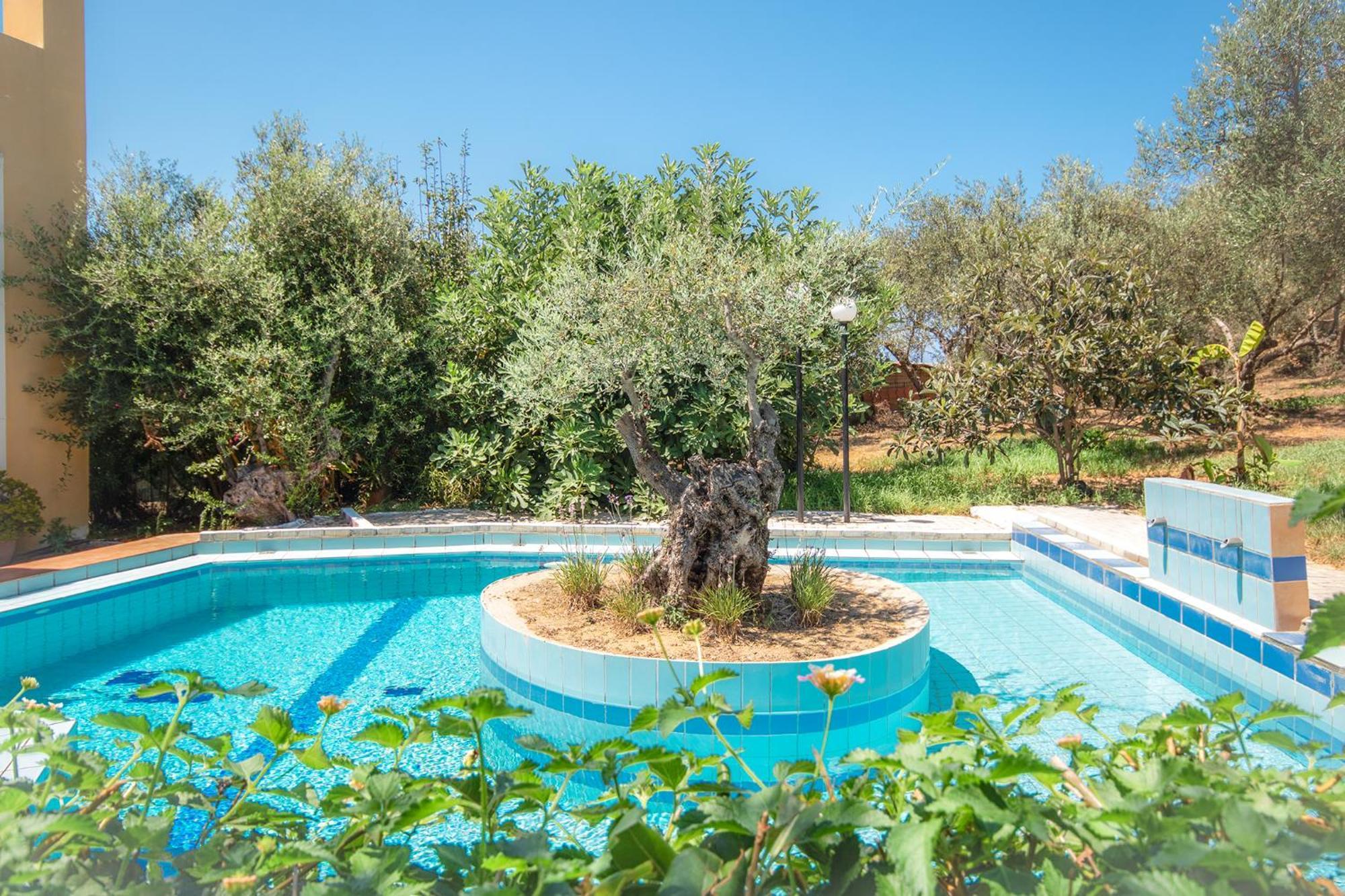 فيلا Olive Farm Agia Marina المظهر الخارجي الصورة