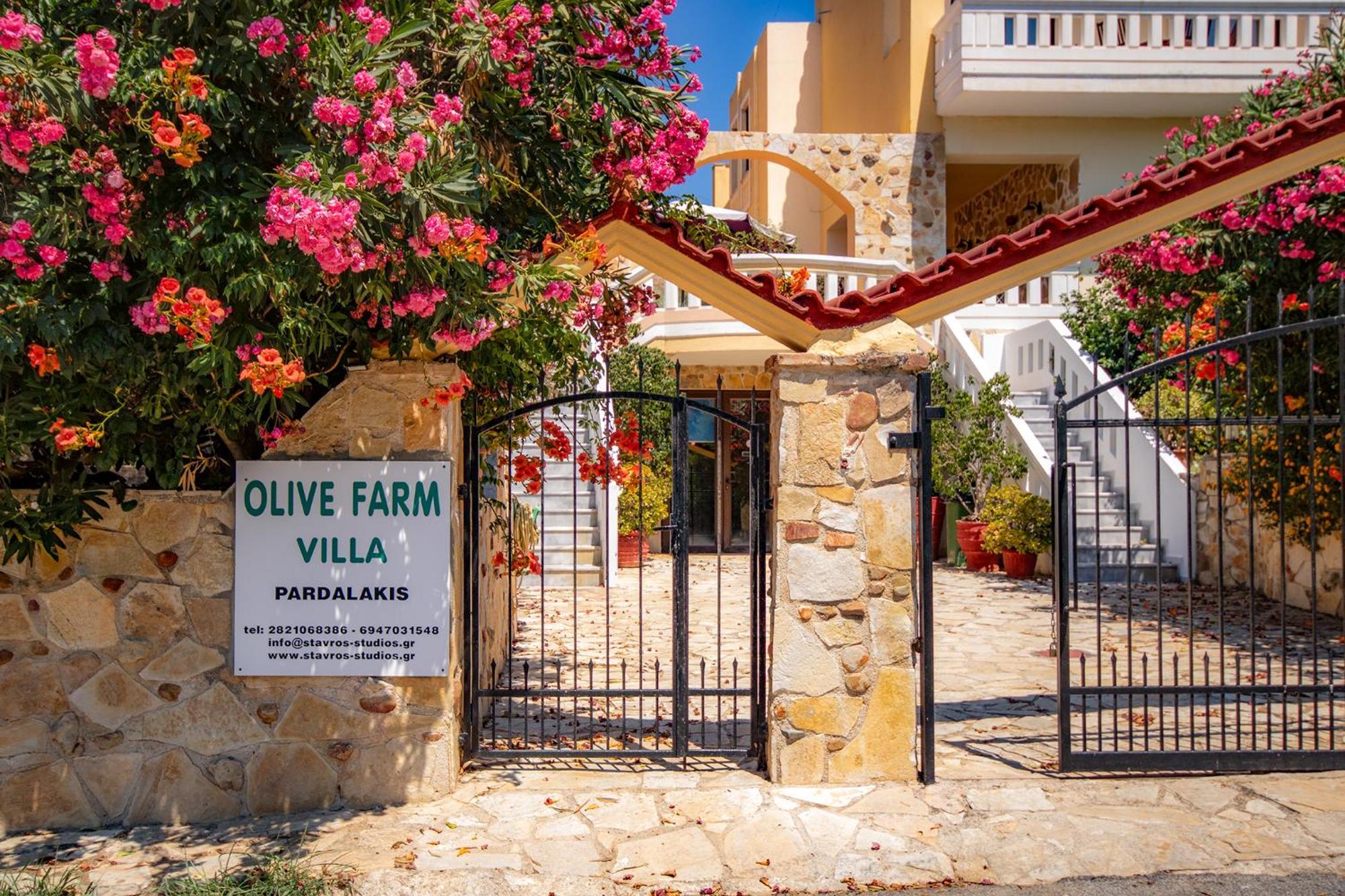 فيلا Olive Farm Agia Marina المظهر الخارجي الصورة